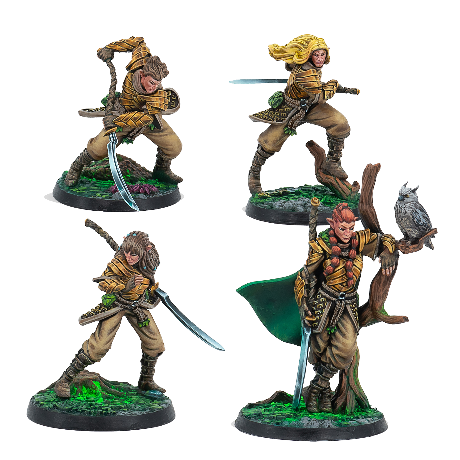 Warcrow : Sÿenann - Sÿenann Wardens (VF)